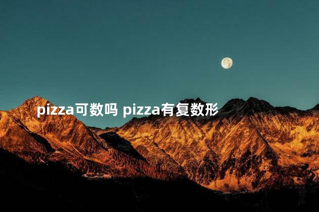 pizza可数吗 pizza有复数形式吗